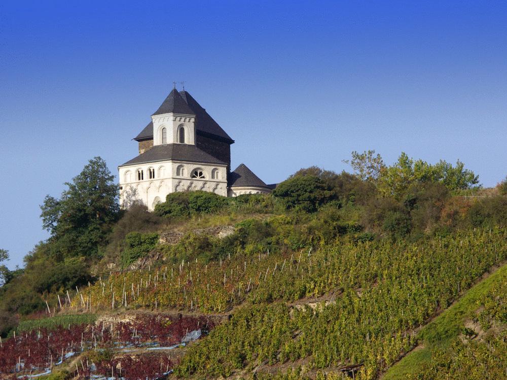 Hotel Ms Mosel Niederfell Exteriér fotografie